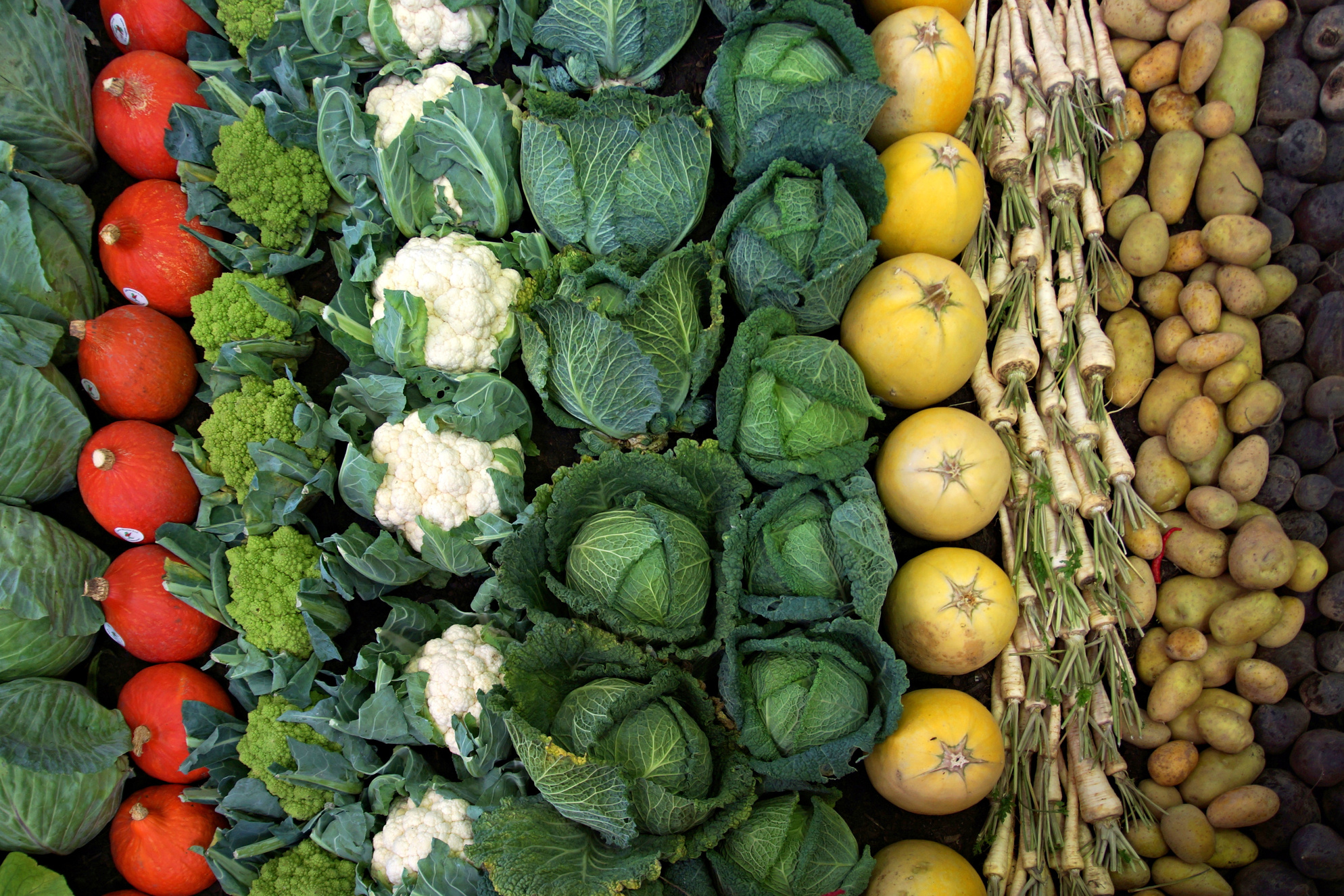 Vegetables Produce Background